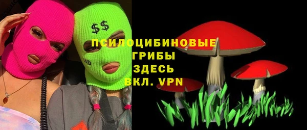 не бодяженный Богородицк