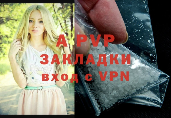 бошки Богданович