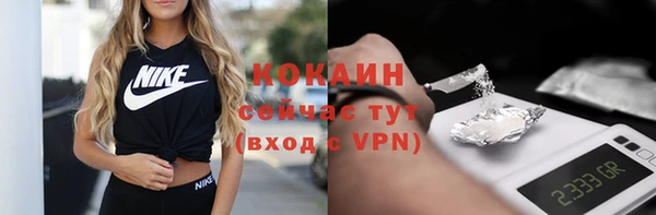 спиды Богородск