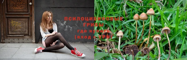 спиды Богородск