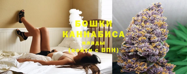 спиды Богородск