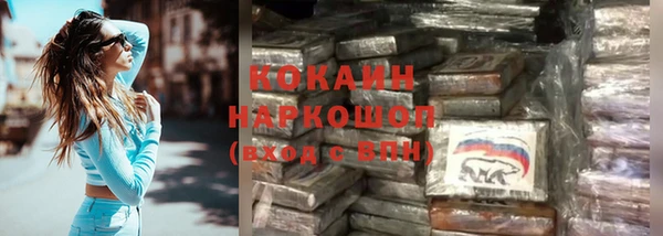 бошки Богданович