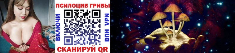 Псилоцибиновые грибы ЛСД Городец